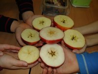 DSC09704