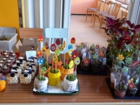 IMG-20190416-WA0003