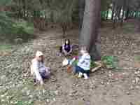 IMG_20240610_113034