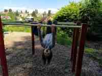 IMG_20240613_112736